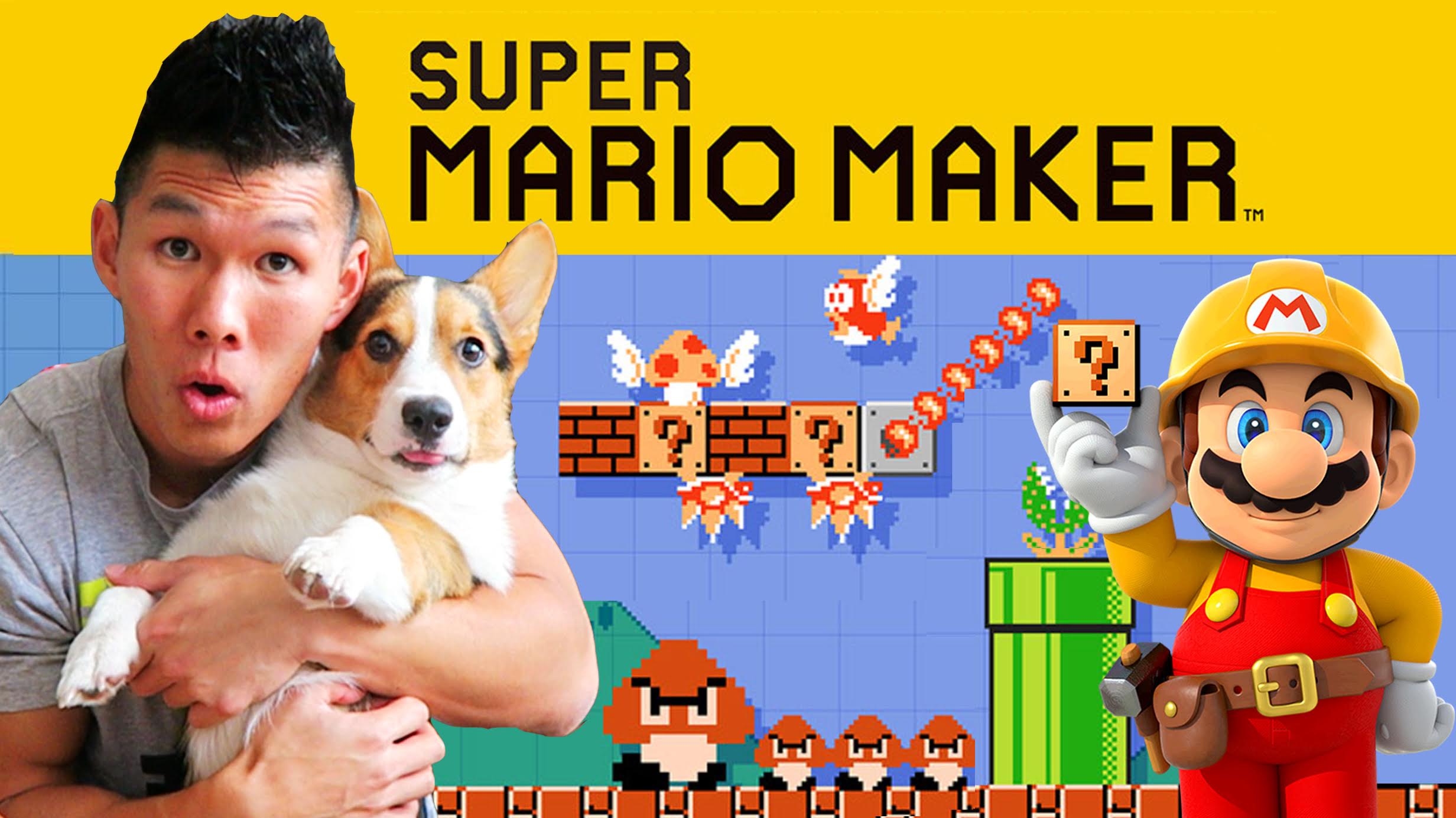 SUPER MARIO MAKER + CORGI GAMEPLAY - The Amiibo Levels