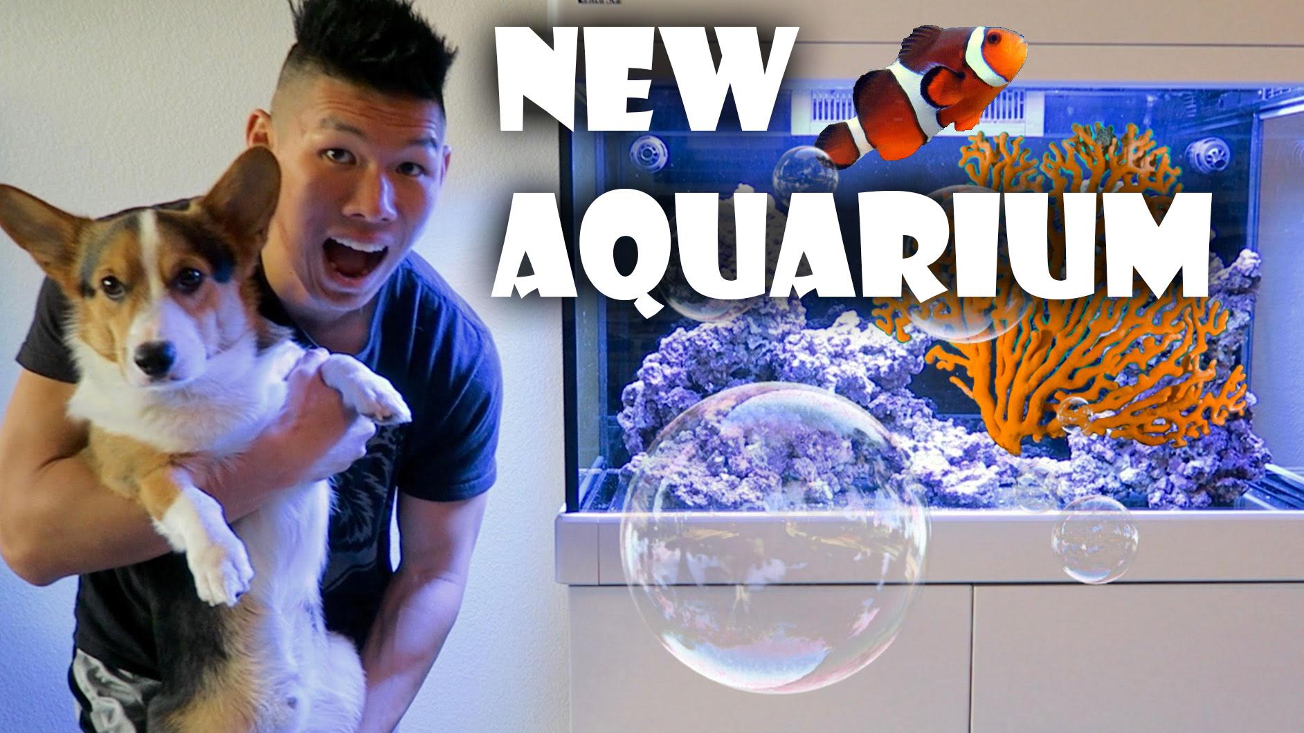 STARTING NEW SALTWATER REEF AQUARIUM | WHAT I LEARNED