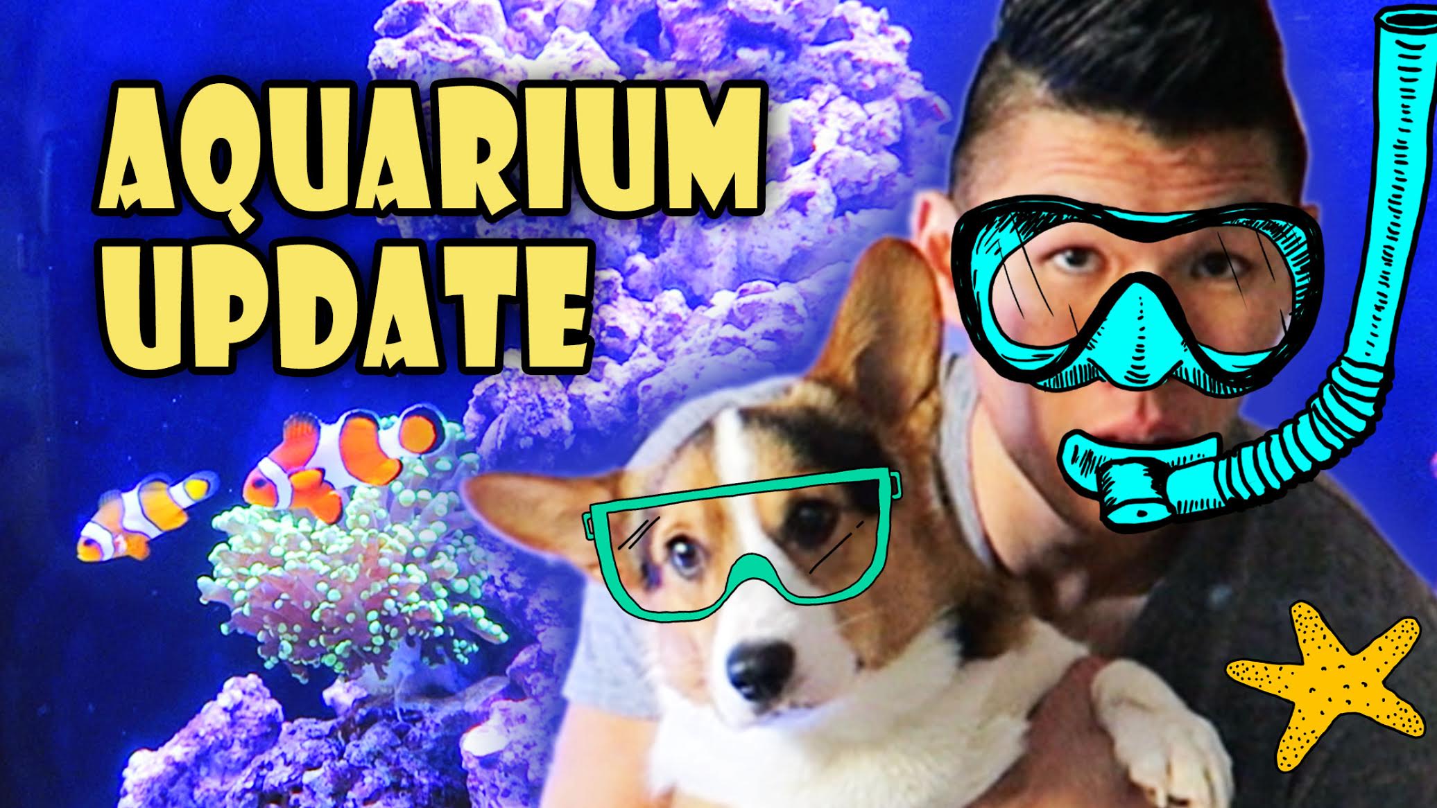 New Saltwater Reef Aquarium | Crazy Spending Spree!