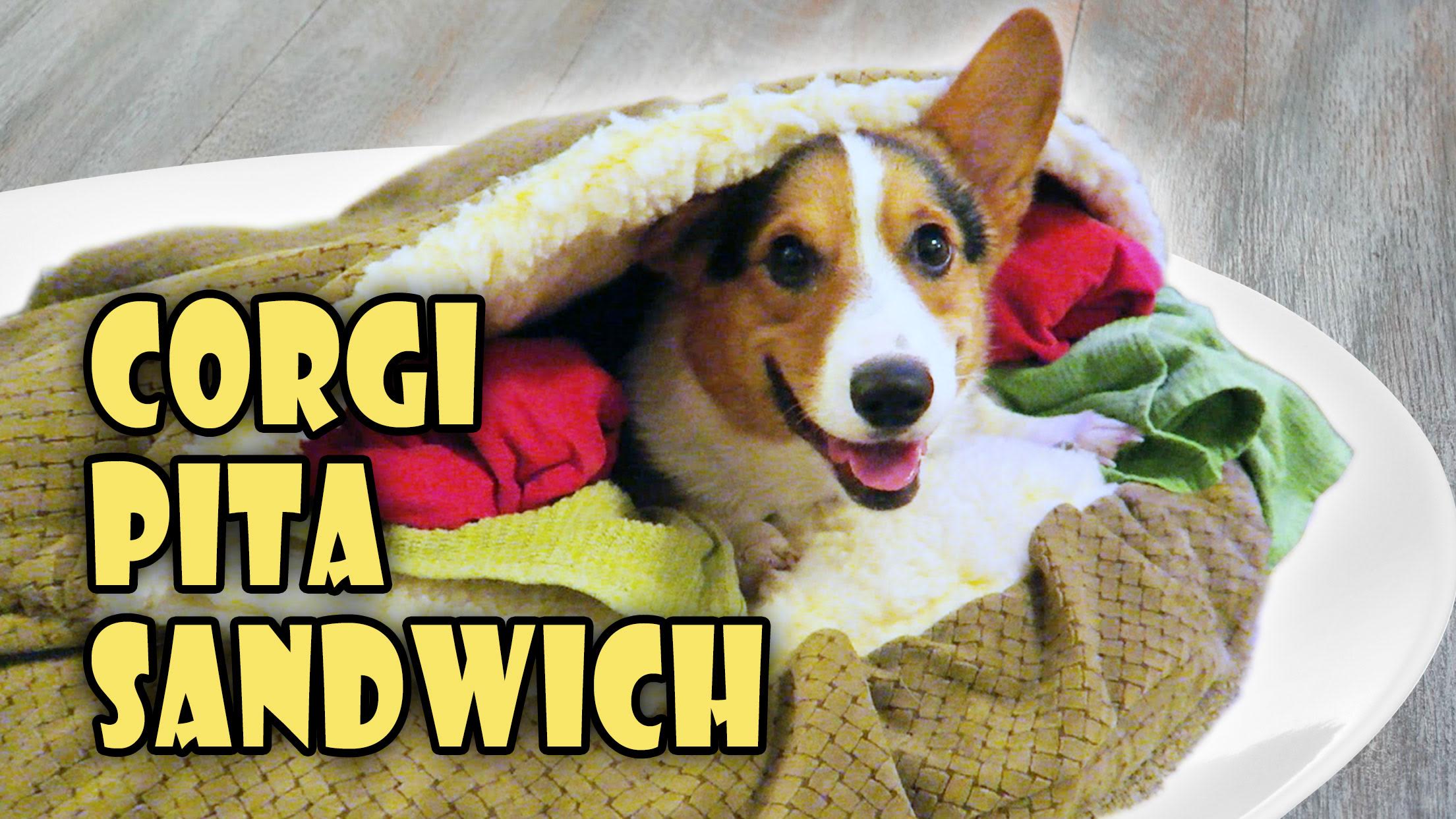 Corgi Pita Sandwich Dog Bed