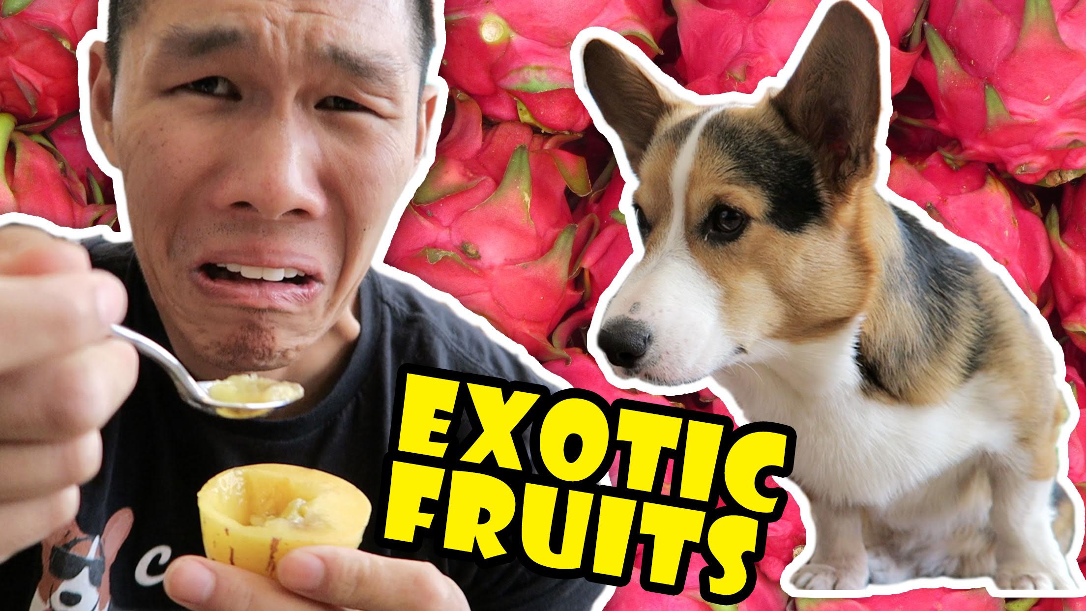 COMPARING EXOTIC FRUITS From Around the WORLD