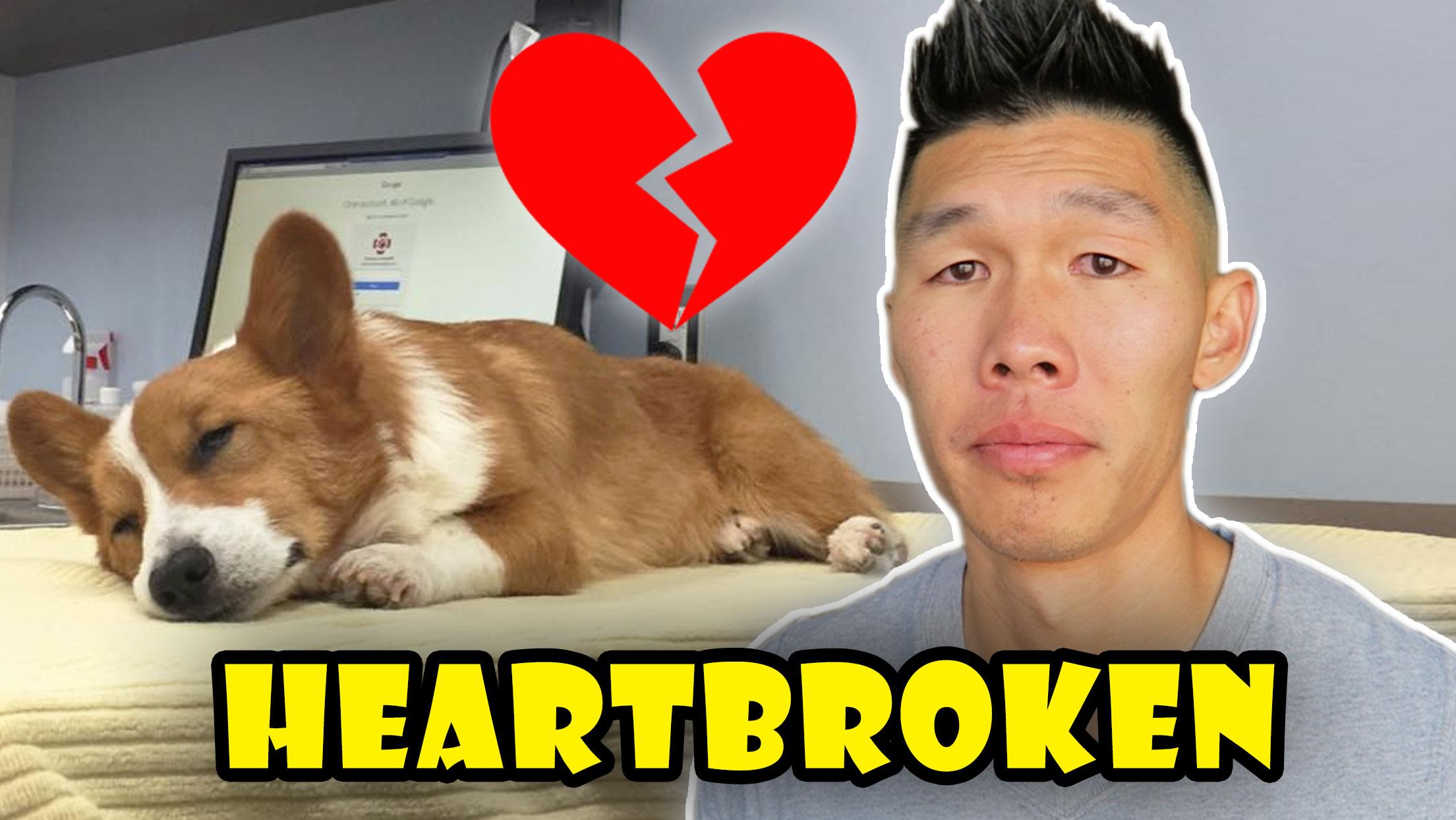 HEARTBROKEN OVER LOKI CORGI NEWS