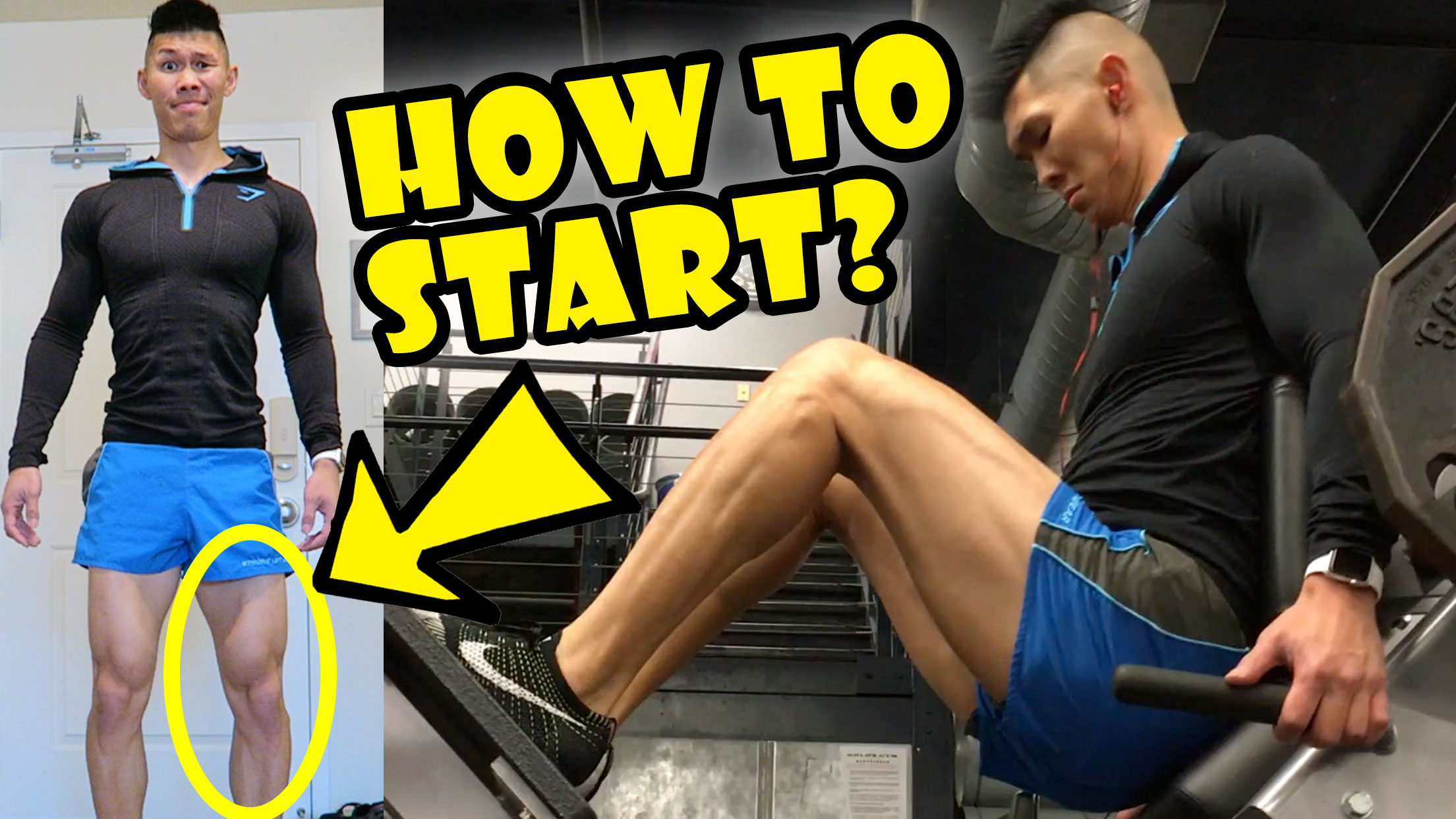 HOW TO START WORKING OUT: Beginners Gym Routine