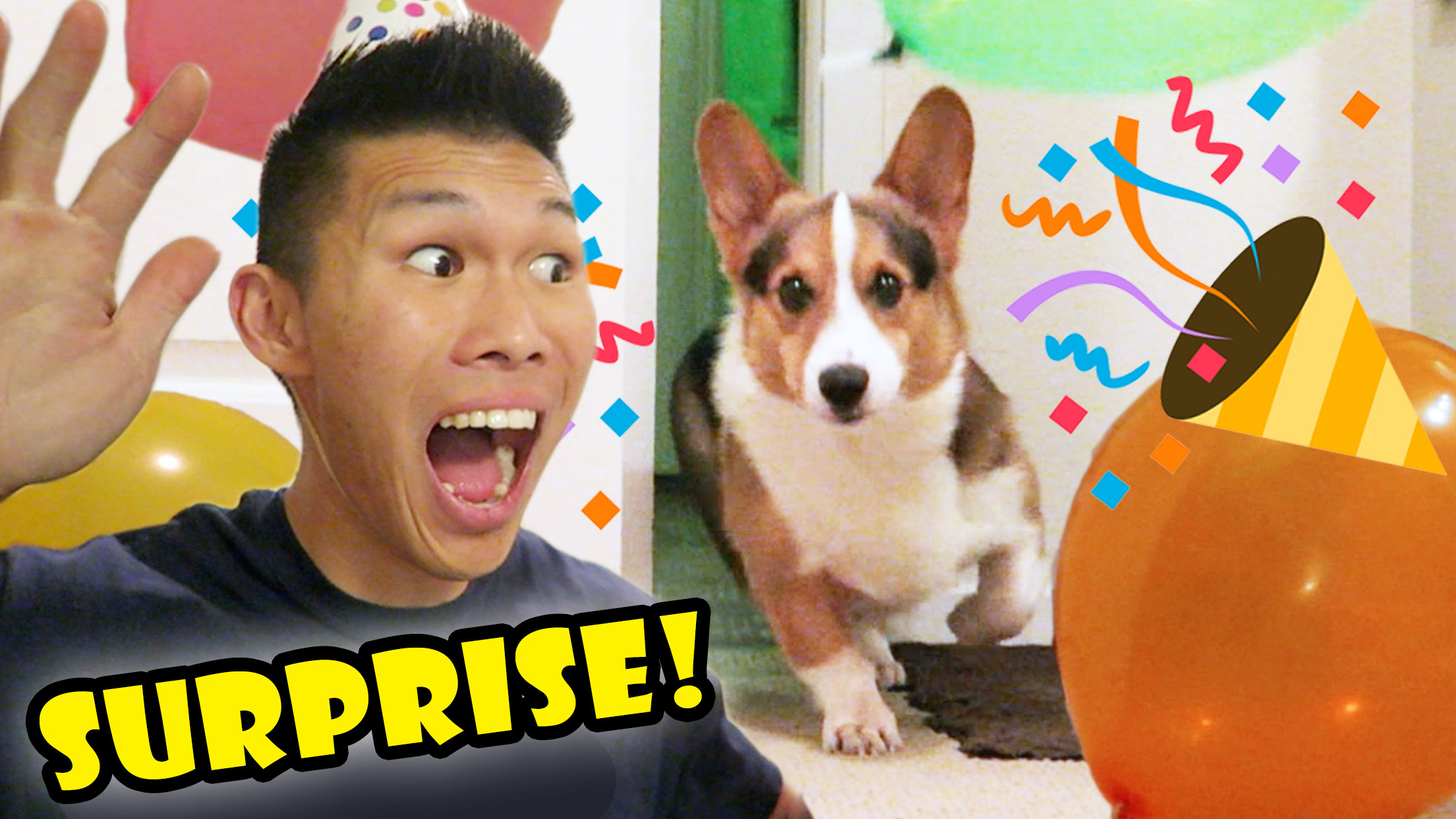 SURPRISING My CORGI Dog w/a BIRTHDAY PARTY