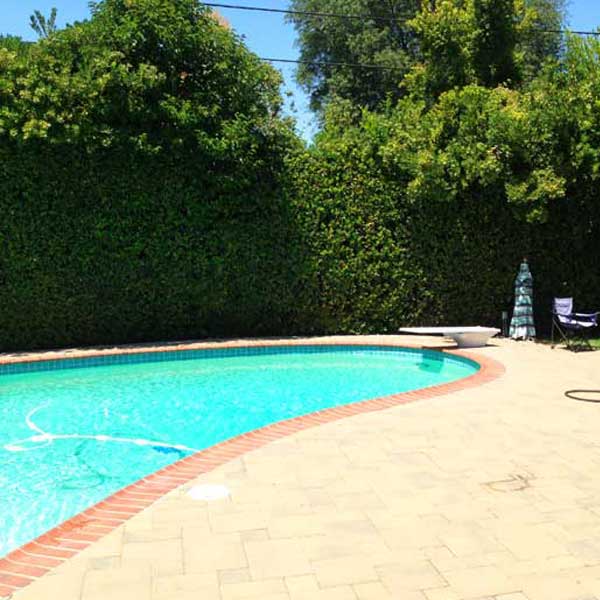 House with Pool in the San Francisco Bay Area