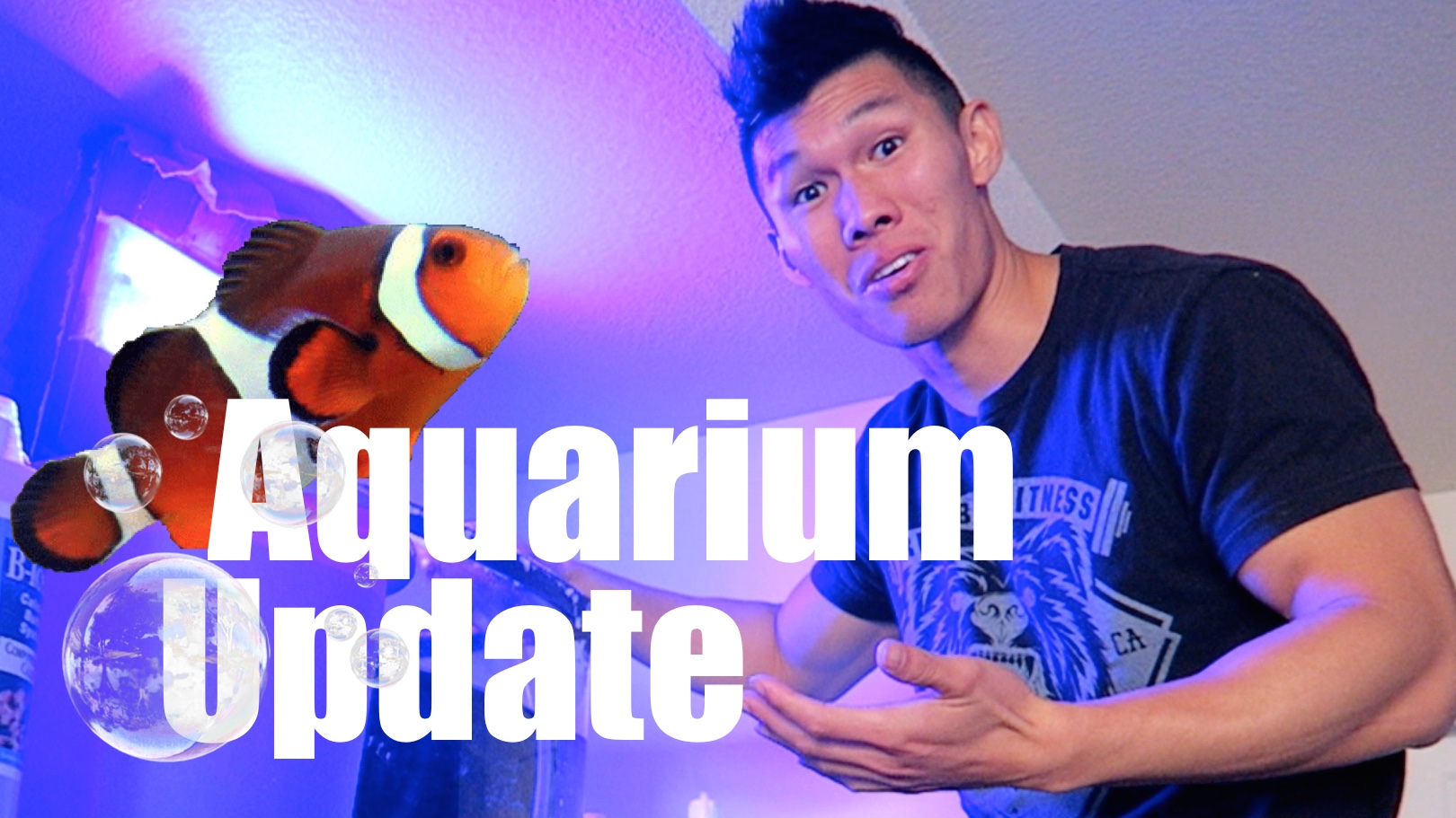 Biocube Nano Reef Aquarium Update