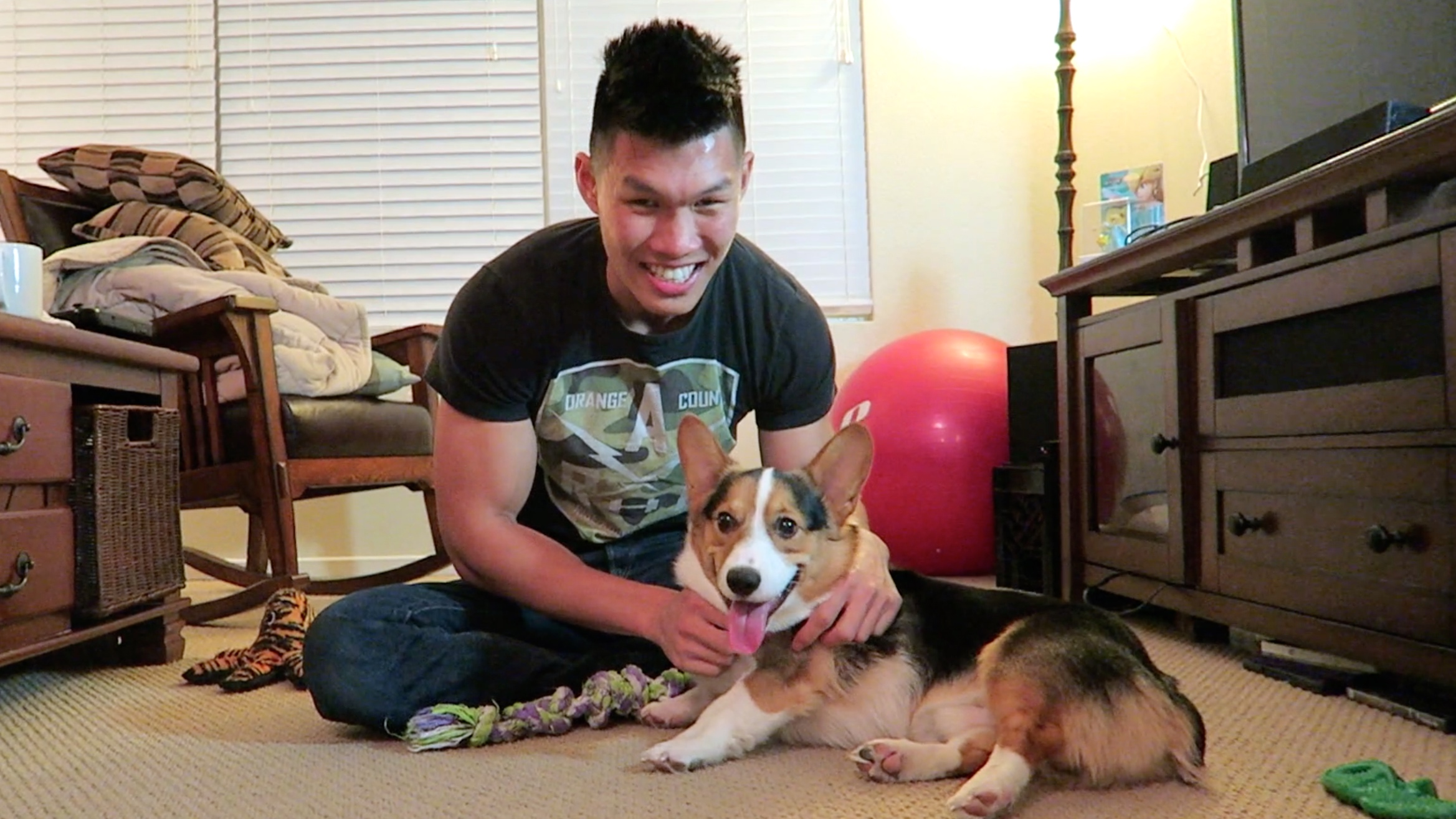 Corgi IQ Test