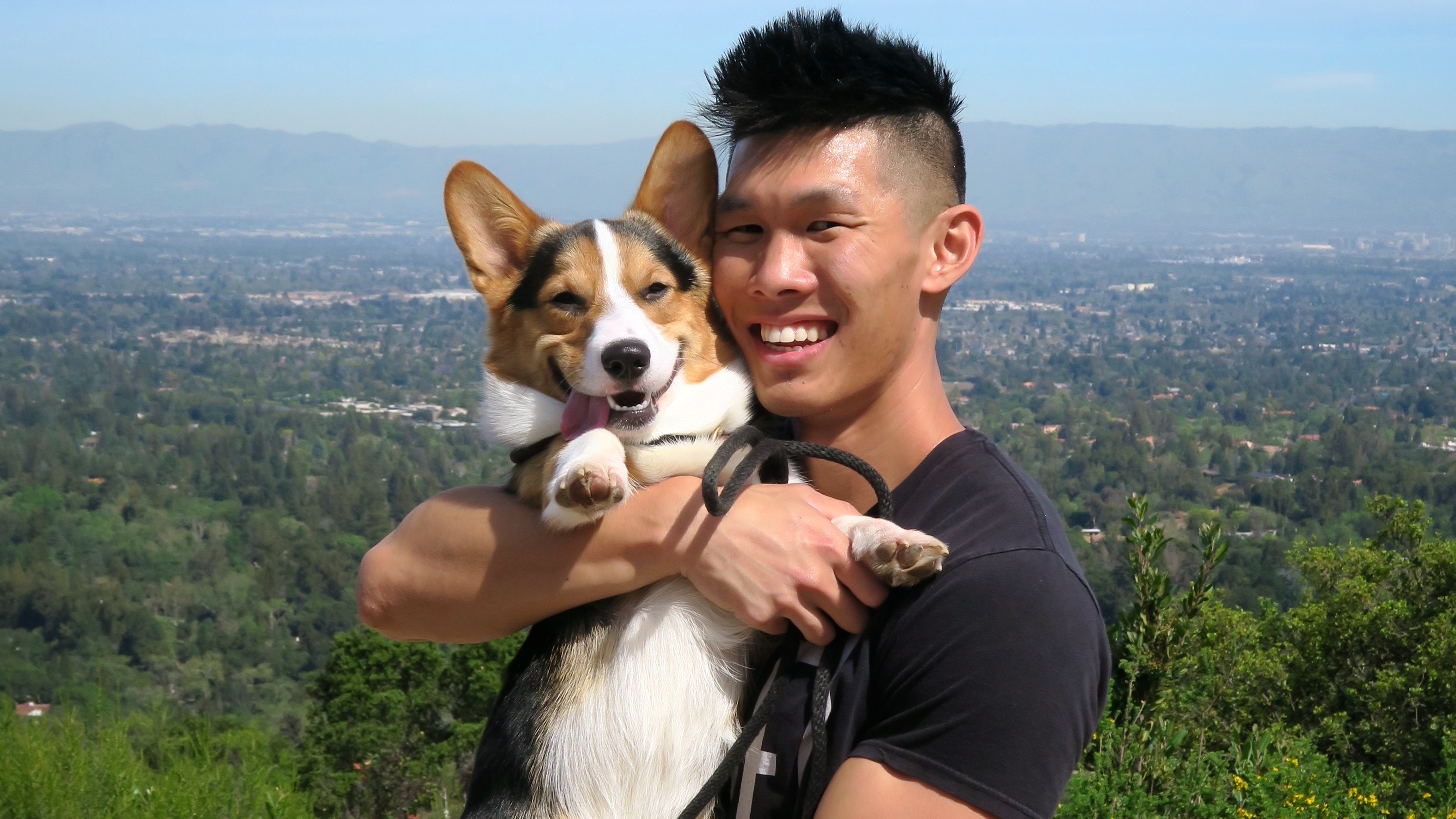 Corgi
