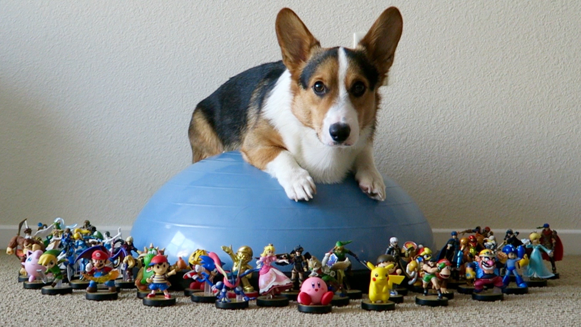Amiibo Collection Showcase