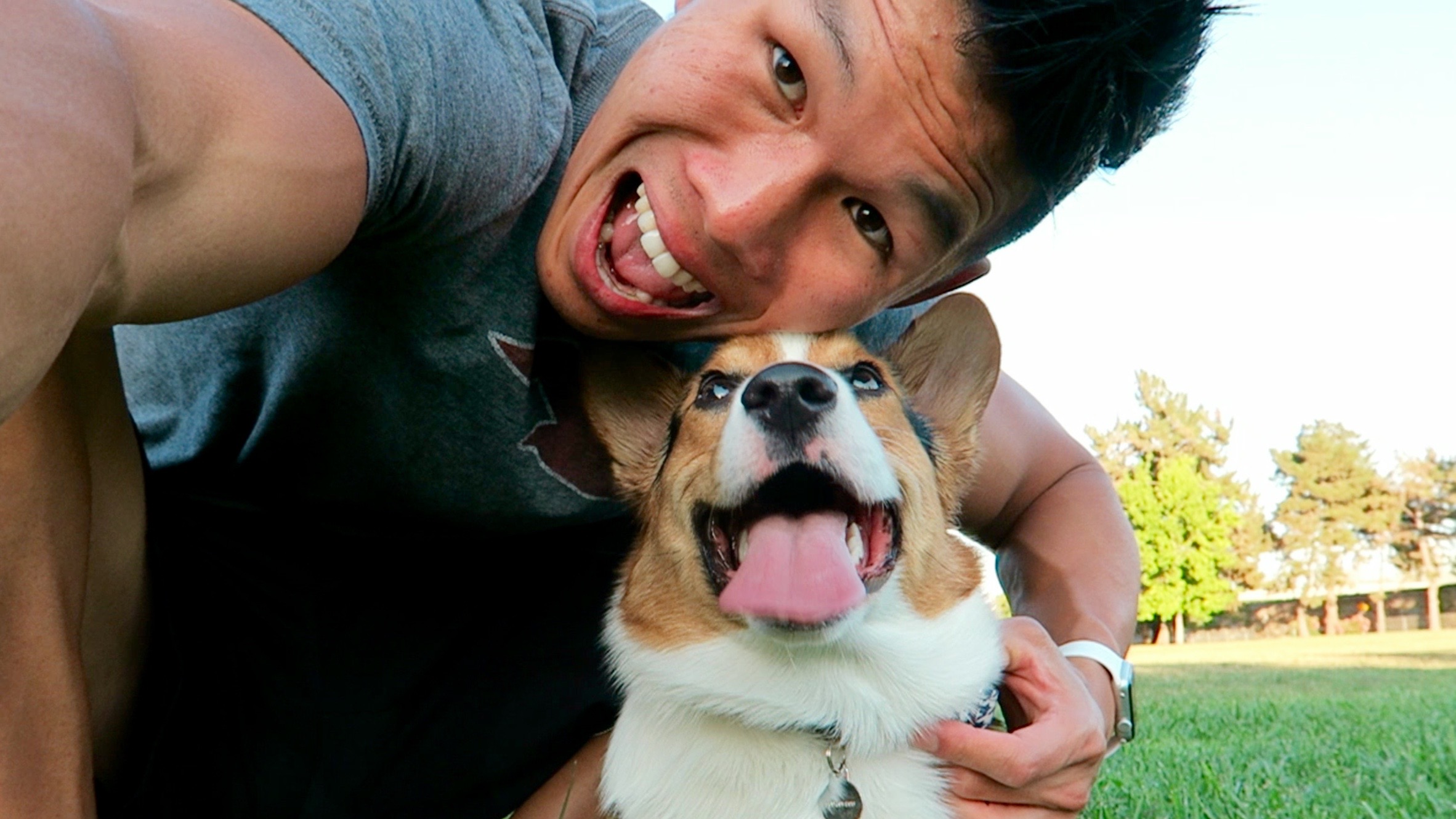 Corgi is Life
