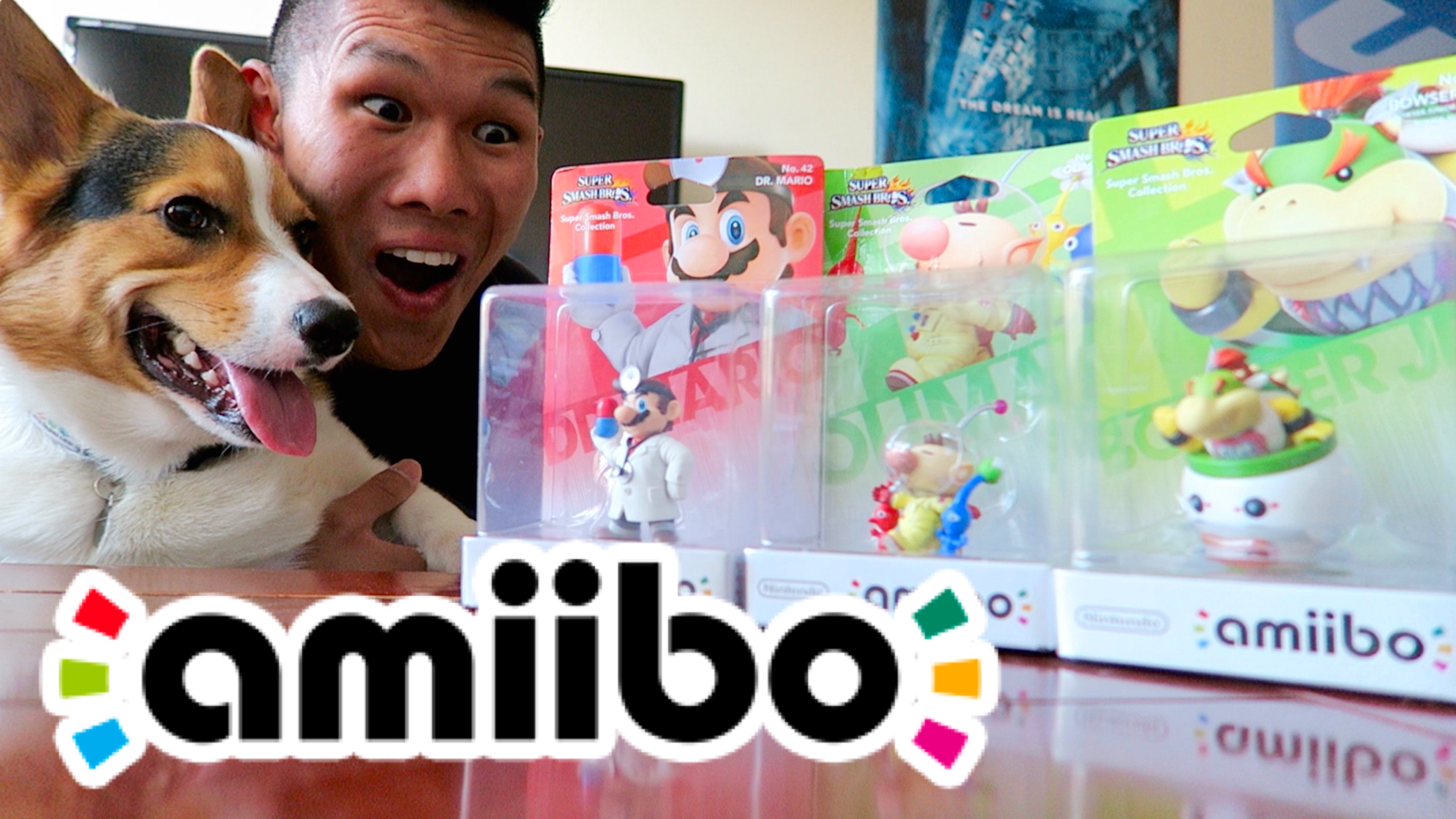 Amiibo Collection Vlog