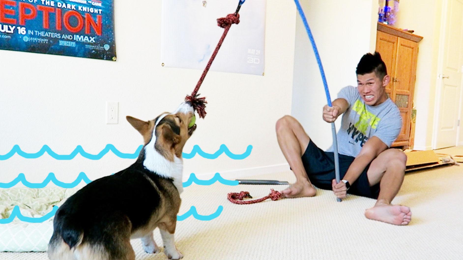 Tether Tug Corgi Fishing