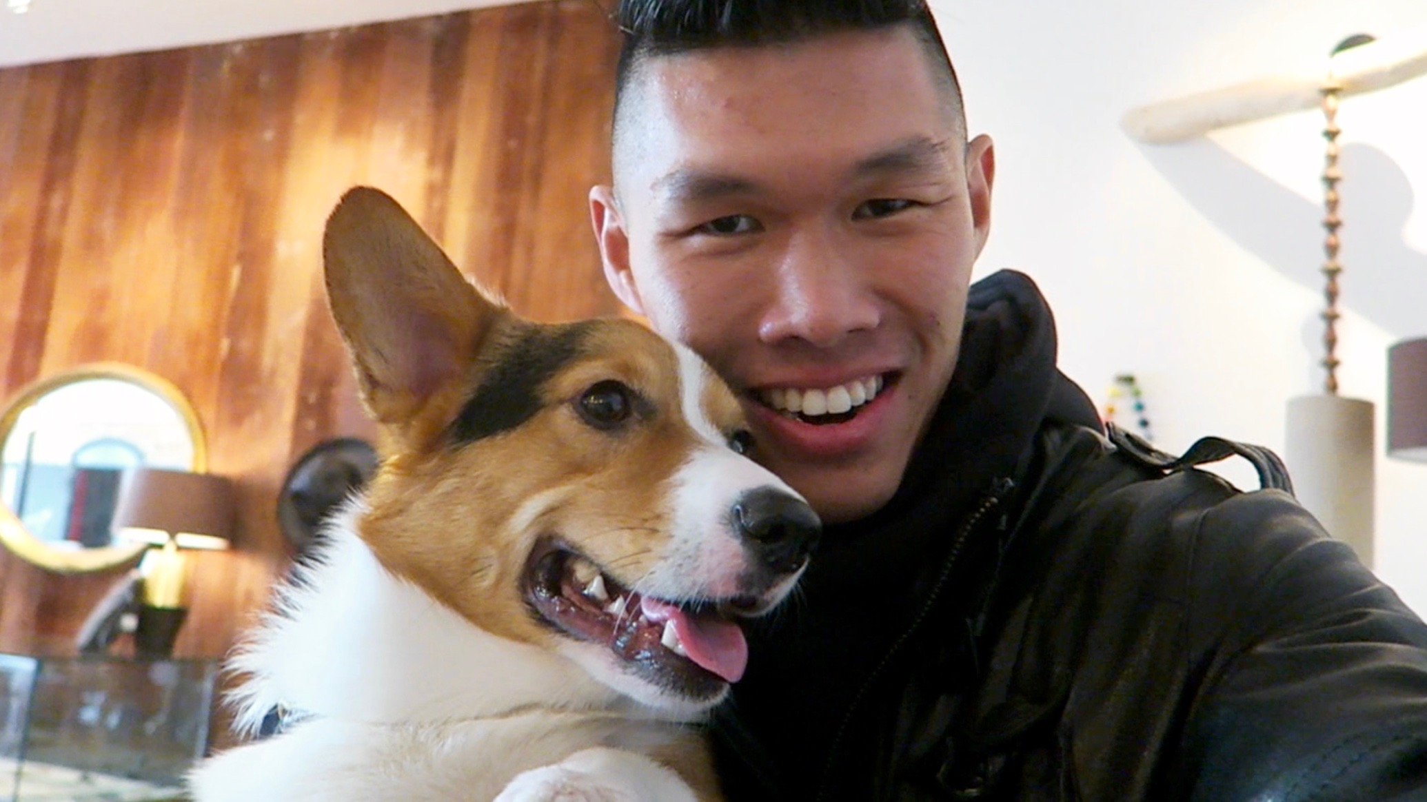 Giving My Corgi a Vacation