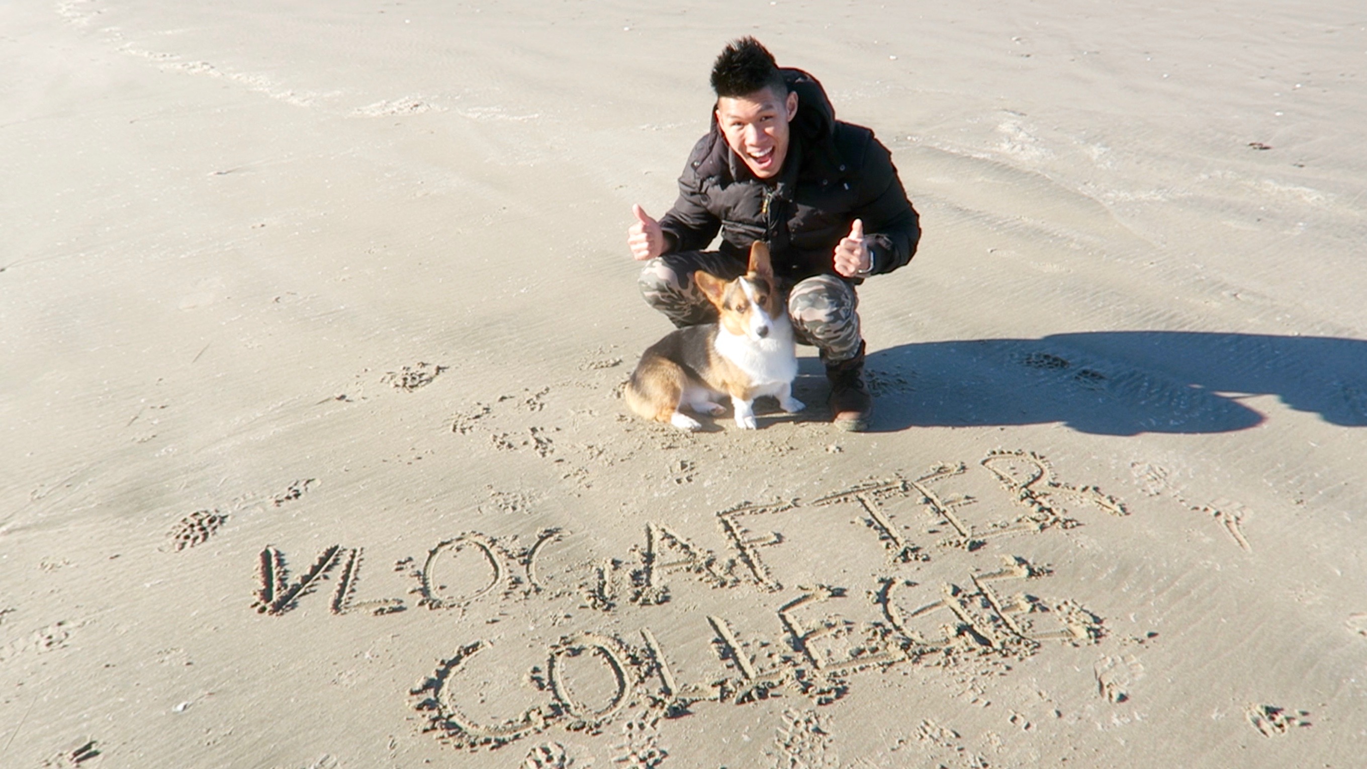 DOG'S HAPPIEST LIFE MOMENT: CORGI HAS A BLAST ALONE ON BEACH