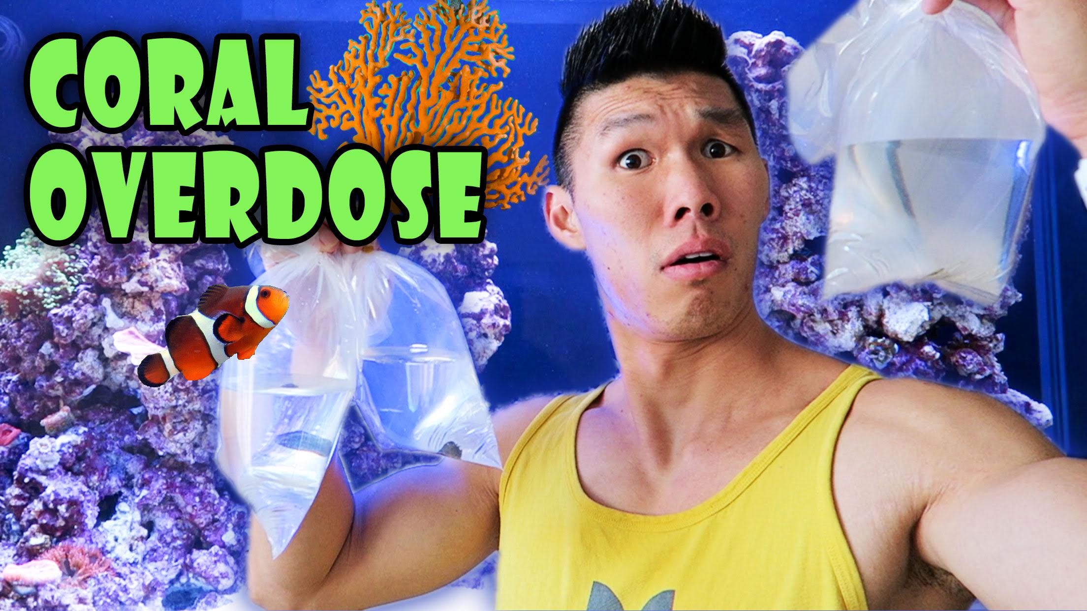 RARE CORAL HAUL | Saltwater Reef Aquarium
