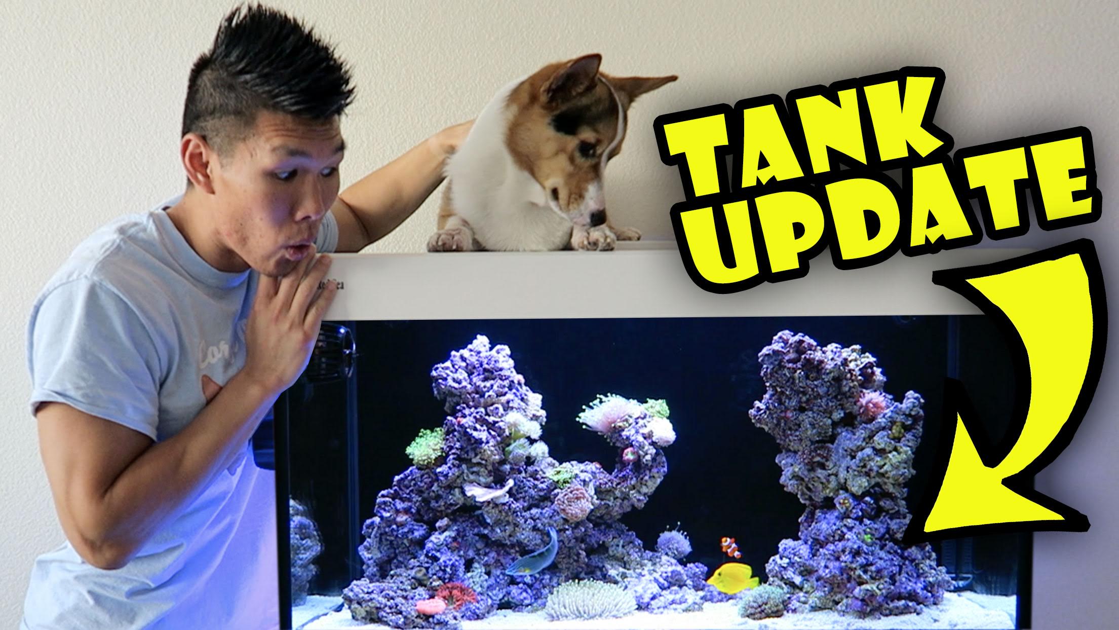 WHAT'S AN UNREAL FISH TANK SETUP LOOK LIKE?