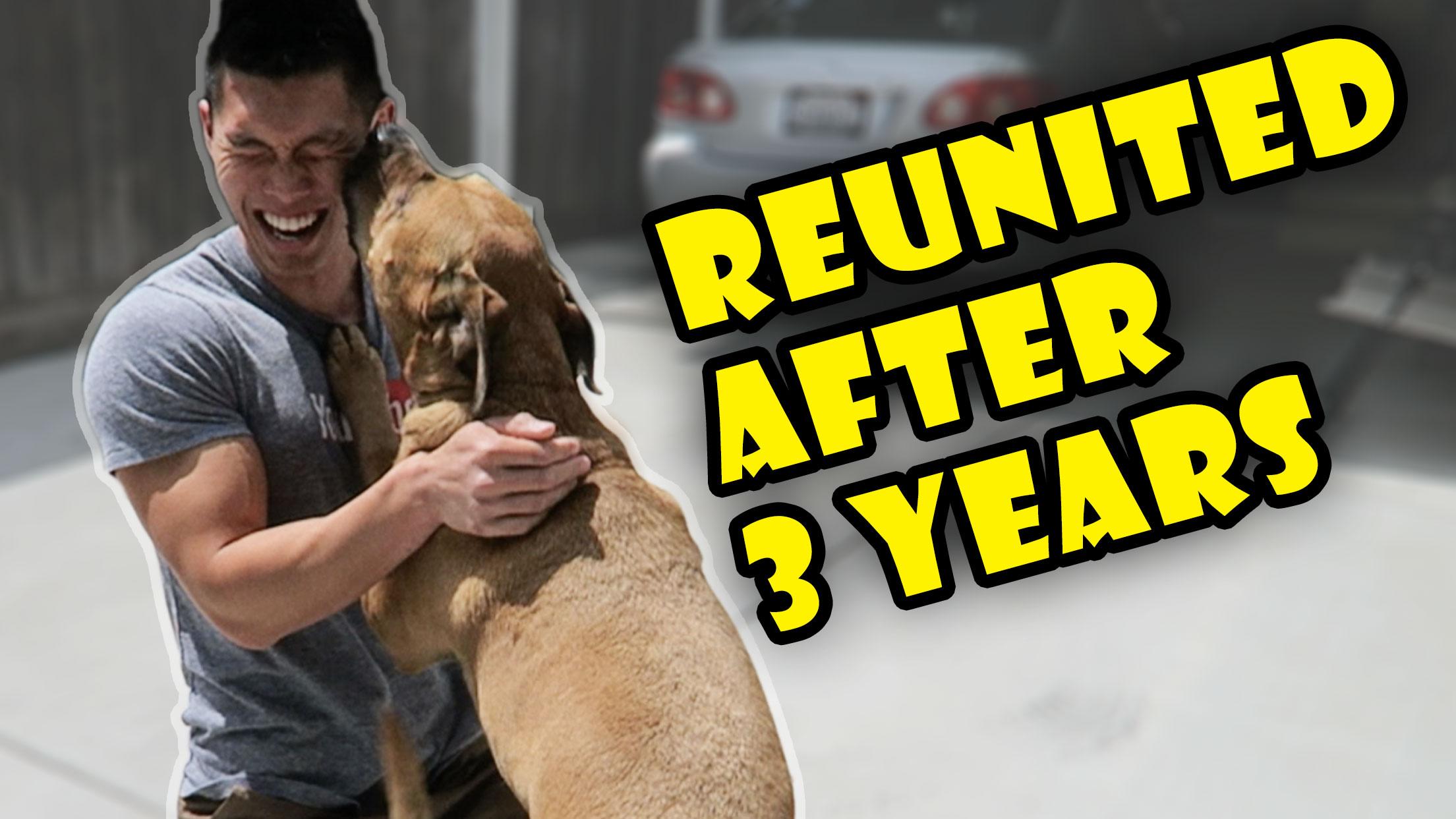 DOG REUNITED AFTER 3 YRS APART | Meets New Puppy