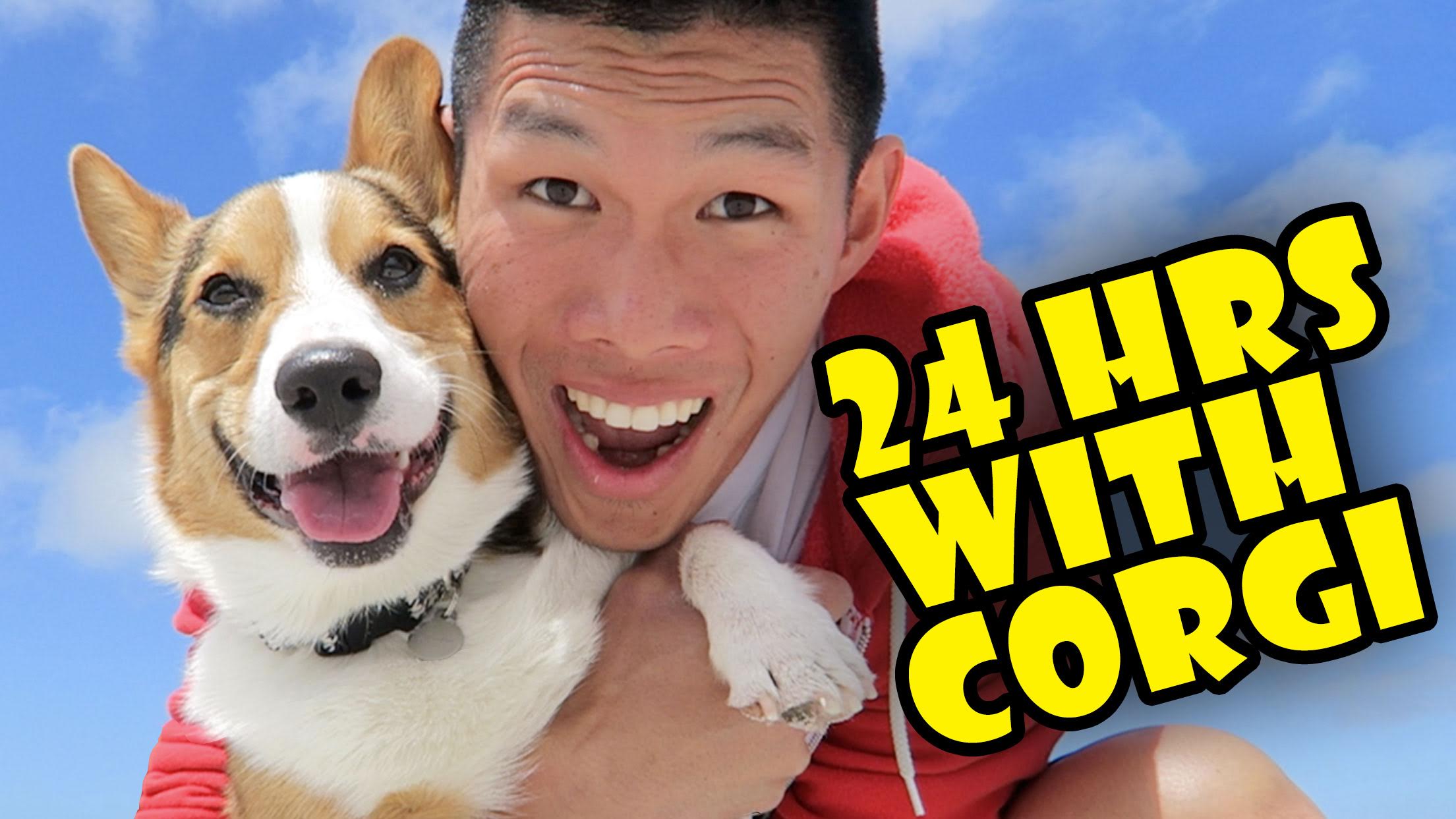 Corgi Quality Time