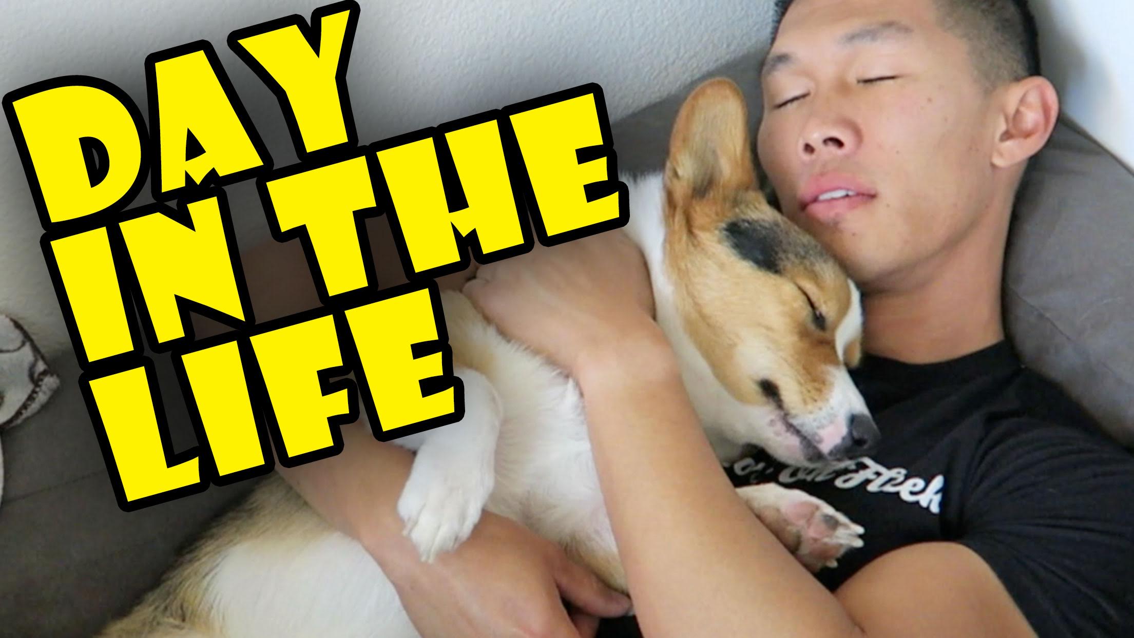 APARTMENT LIFE W/A HAPPY CORGI || Daily Routine