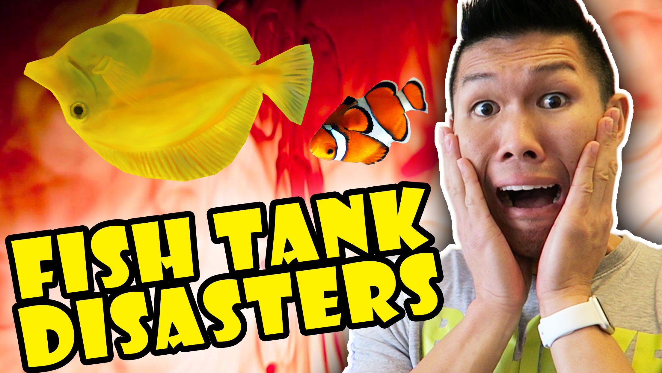 1st Year FISH DISASTERS IN $3,000 AQUARIUM