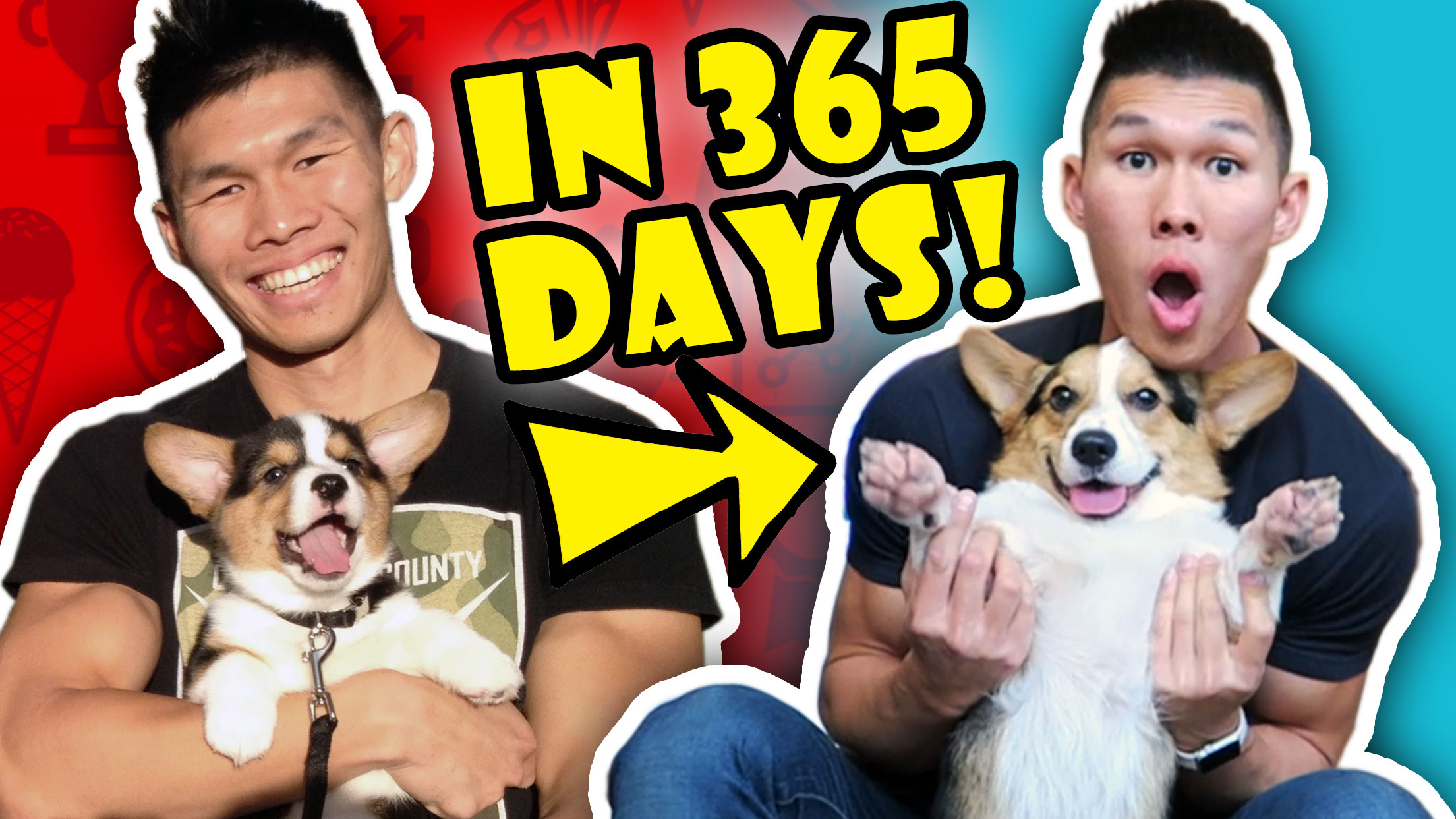 BEST OF Ryen & Gatsby in 365 DAYS