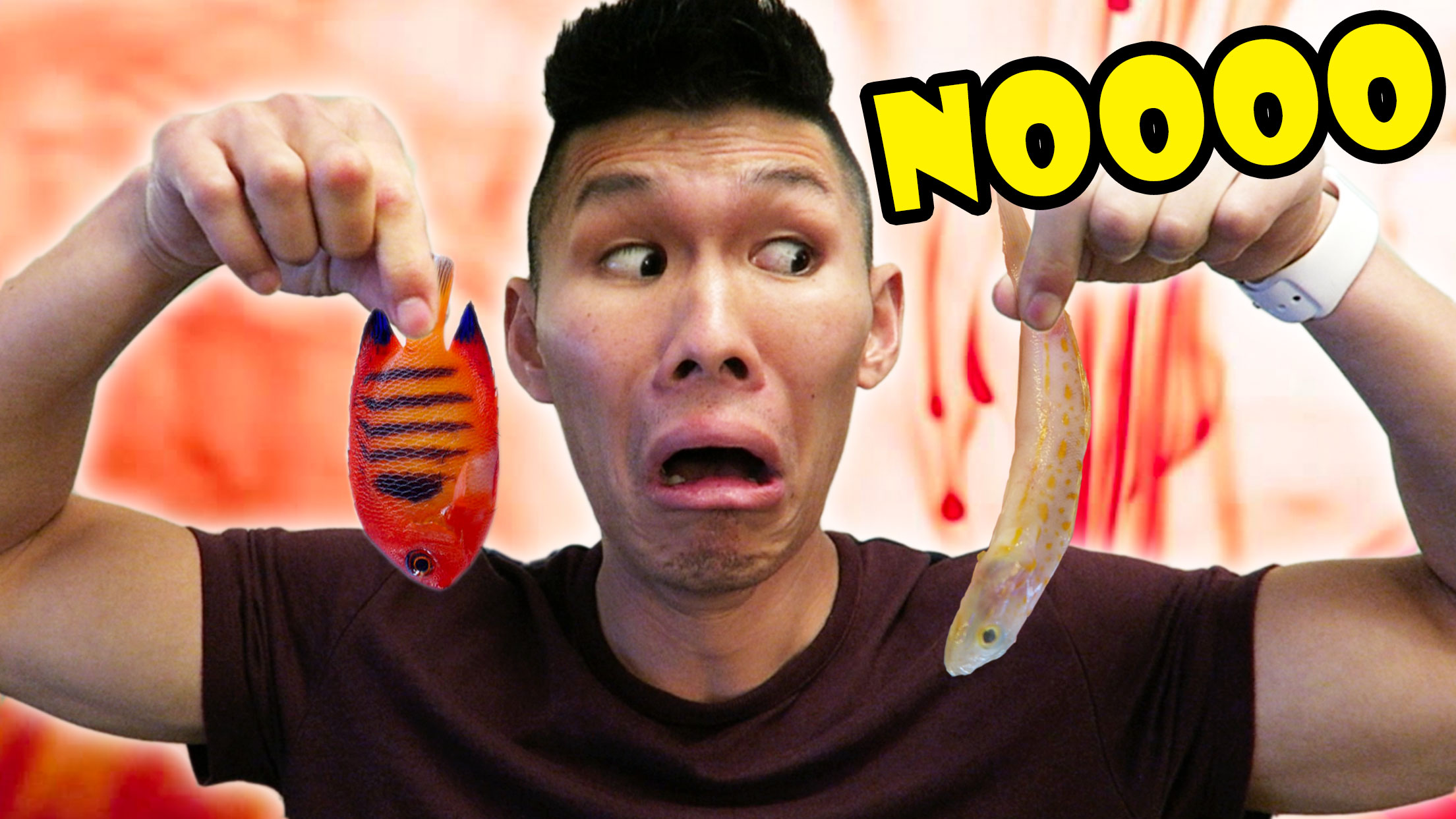 BAD AQUARIUM NEWS UPDATE: Fish & Setup