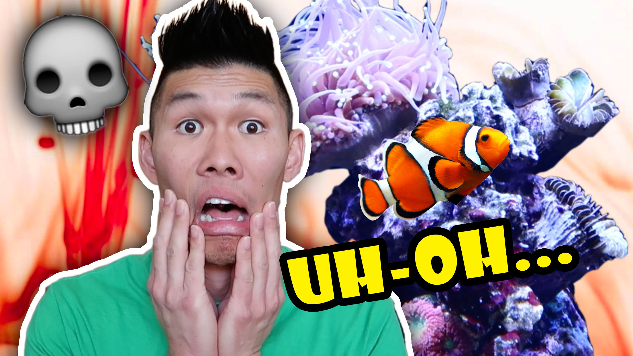 SURVIVORS & CASUALTIES: WHAT HAPPENED TO MY FISH TANK?