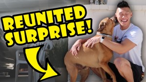 DOG REUNITED SURPRISE AFTER 1 YR APART