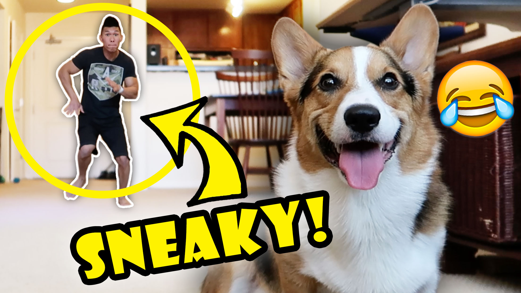 DANCING BEHIND CORGI DOG - WILL HE NOTICE?