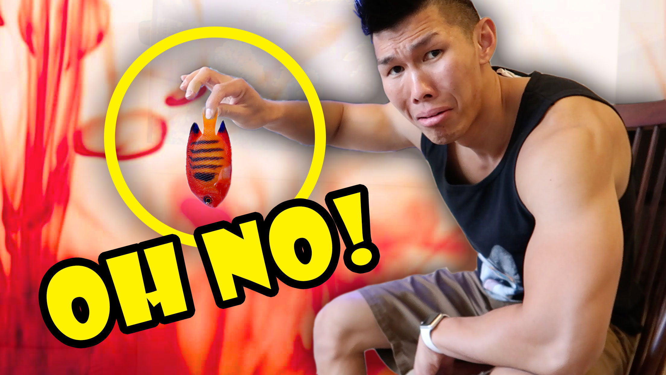 CAUSE OF FISH TANK AQUARIUM DEATH